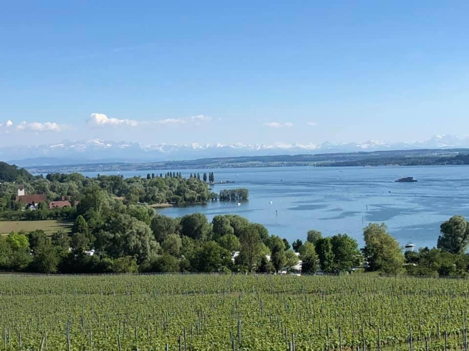 Ferienwohnung "Maisonette Unter Der Burg" Meersburg Esterno foto